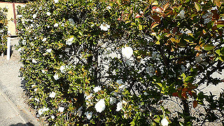 pc102477_thumb.jpg