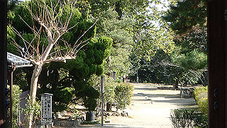 pc102480_thumb.jpg