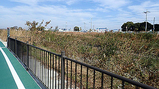 pc102482_thumb.jpg
