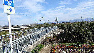 pc102485_thumb.jpg