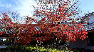 pc102494_thumb.jpg