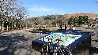 pc102523_thumb.jpg