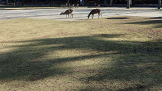 pc102527_thumb.jpg