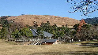 pc102542_thumb.jpg