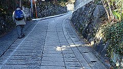 pc232585_thumb.jpg