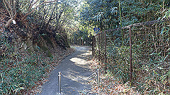 pc232590_thumb.jpg