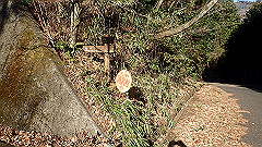 pc232591_thumb.jpg