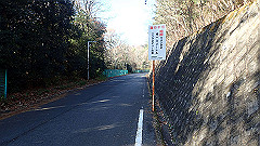 pc232592_thumb.jpg