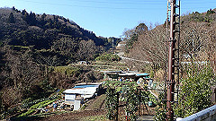 pc232597_thumb.jpg