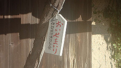 pc232604_thumb.jpg