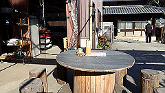 pc232620_thumb.jpg