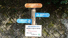 pc232644_thumb.jpg