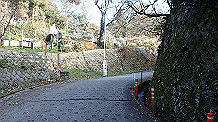 pc232648_thumb.jpg