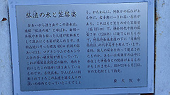 pc232654_thumb.jpg