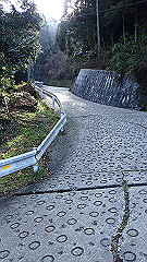 pc232661_thumb.jpg