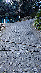 pc232665_thumb.jpg