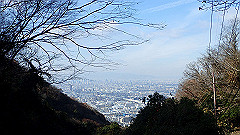 pc232675_thumb.jpg