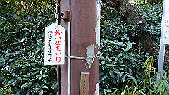 pc232684_thumb.jpg