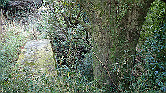 pc232686_thumb.jpg