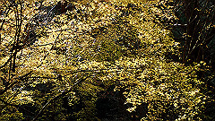 pc232687_thumb.jpg