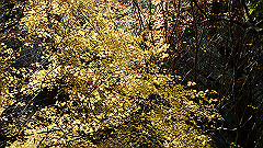 pc232689_thumb.jpg