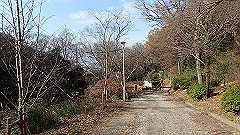 pc232695_thumb.jpg