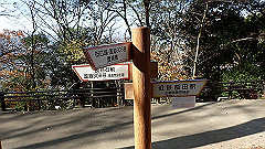 pc232699_thumb.jpg