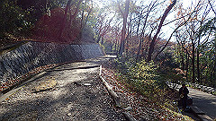 pc232700_thumb.jpg