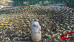 pc232706_thumb.jpg