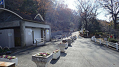pc232709_thumb.jpg