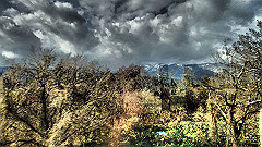 pc292745_thumb.jpg