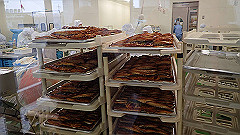 pc302795_thumb.jpg