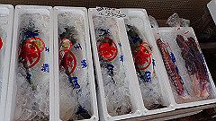 pc302799_thumb.jpg