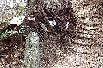 p2040287_thumb.jpg