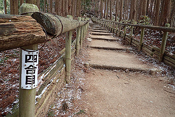 p2040292_thumb.jpg