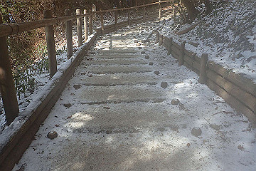 p2040305_thumb.jpg
