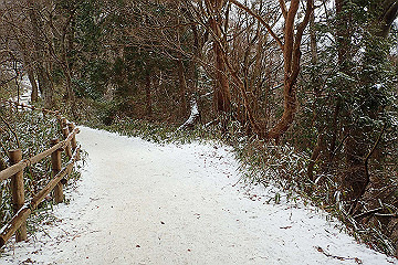 p2040313_thumb.jpg