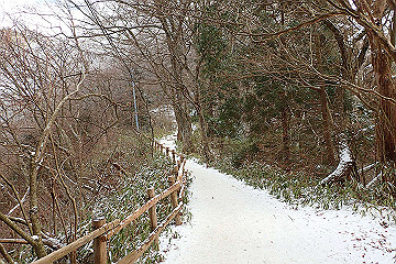 p2040314_thumb.jpg