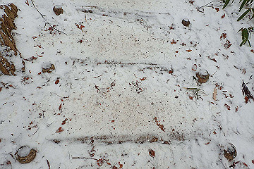p2040322_thumb.jpg