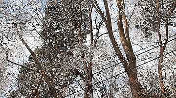 p2040327_x264.mp4_thumb.jpg