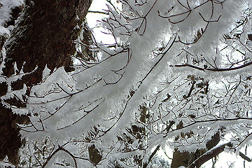 p2040332_thumb.jpg
