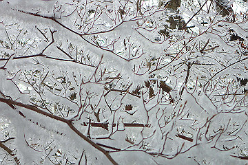 p2040334_thumb.jpg