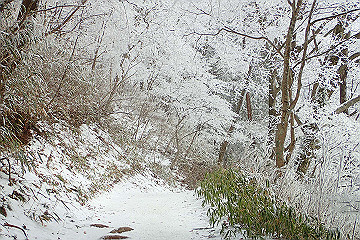 p2040341_thumb.jpg