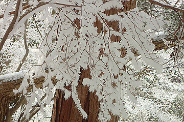 p2040342_thumb.jpg