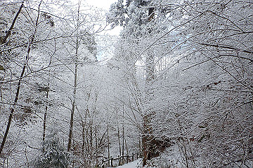 p2040350_thumb.jpg