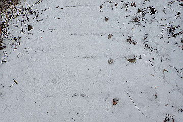 p2040353_thumb.jpg