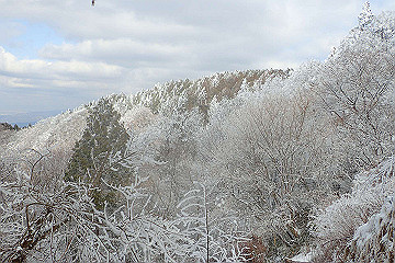 p2040360_thumb.jpg