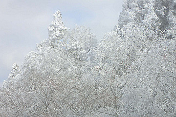 p2040362_thumb.jpg