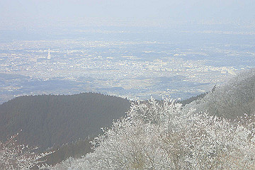 p2040368_thumb.jpg
