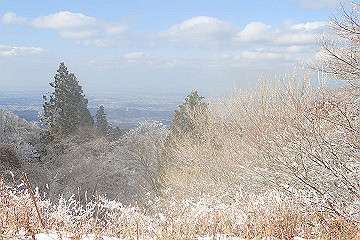 p2040376_thumb.jpg